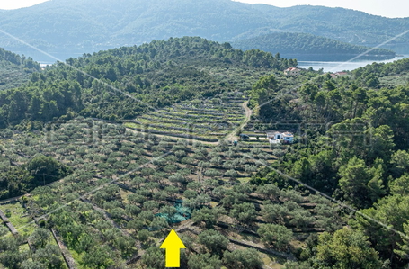 opereta_carousel_photo_9