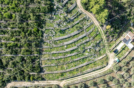 opereta_carousel_photo_7