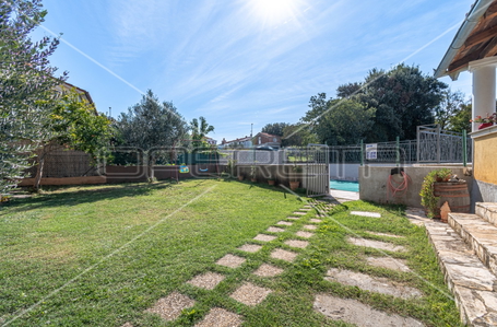 opereta_carousel_photo_7