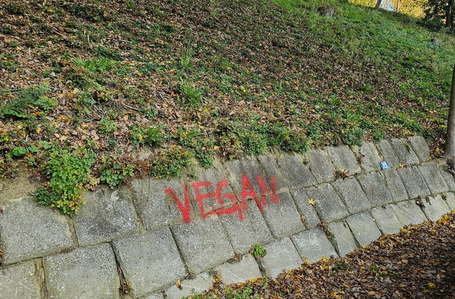 opereta_carousel_photo_3