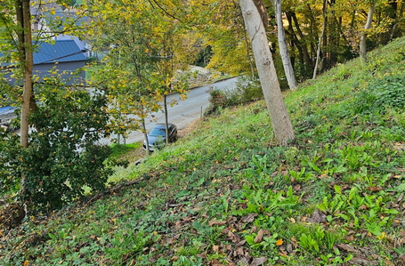 opereta_carousel_photo_5