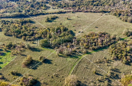 opereta_carousel_photo_5