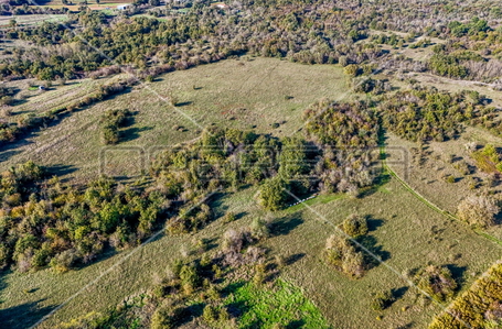 opereta_carousel_photo_6