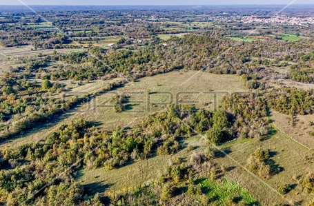opereta_carousel_photo_7