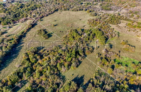 opereta_carousel_photo_8