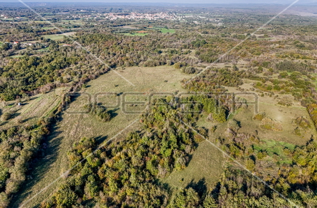 opereta_carousel_photo_9