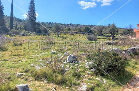 opereta_carousel_photo_3