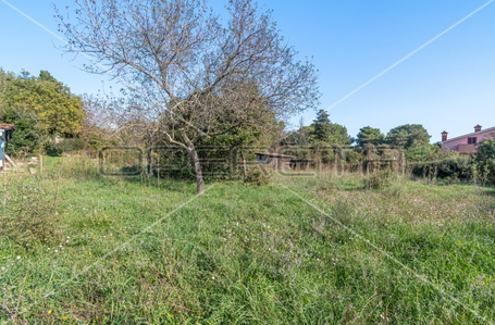 opereta_carousel_photo_2