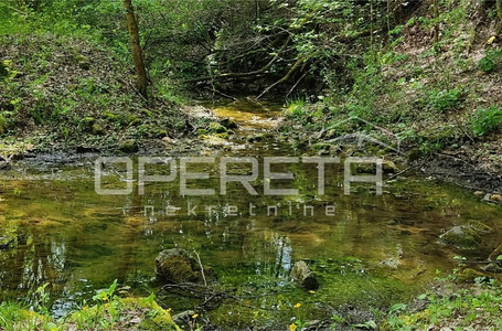 opereta_carousel_photo_8