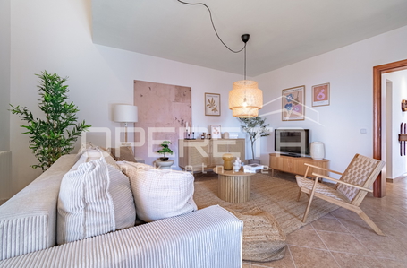 opereta_carousel_photo_3