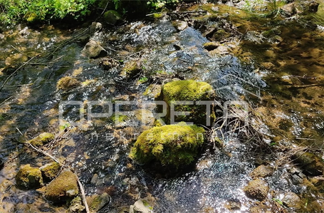 opereta_carousel_photo_7