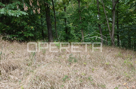 opereta_carousel_photo_9