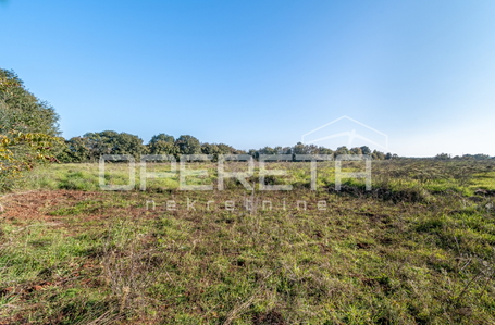 opereta_carousel_photo_3