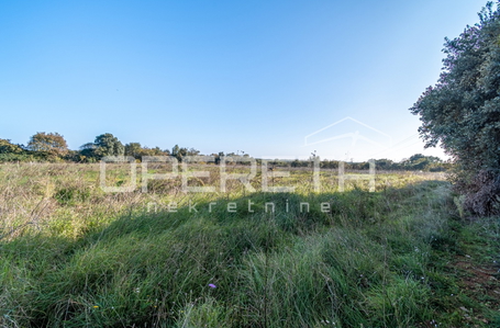 opereta_carousel_photo_4