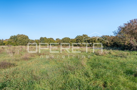 opereta_carousel_photo_2