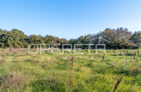 opereta_carousel_photo_3