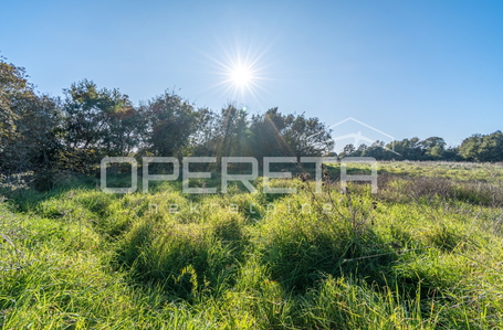 opereta_carousel_photo_4