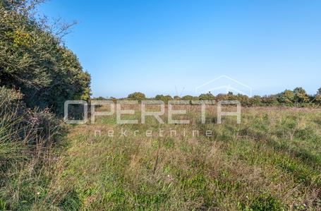 opereta_carousel_photo_2