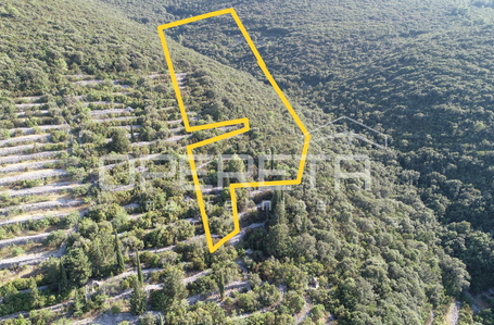 opereta_carousel_photo_3