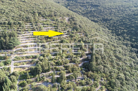 opereta_carousel_photo_4