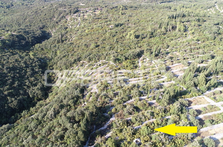 opereta_carousel_photo_5