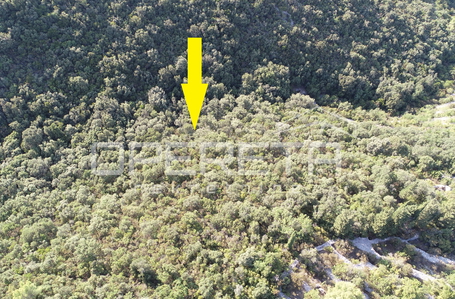 opereta_carousel_photo_6