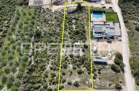 opereta_carousel_photo_5