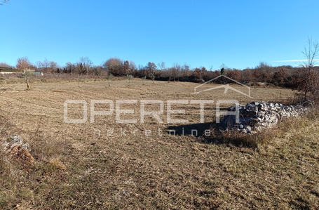 opereta_carousel_photo_7