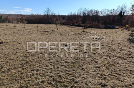 opereta_carousel_photo_8