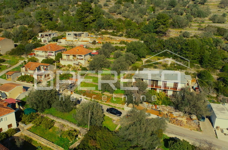 opereta_carousel_photo_4