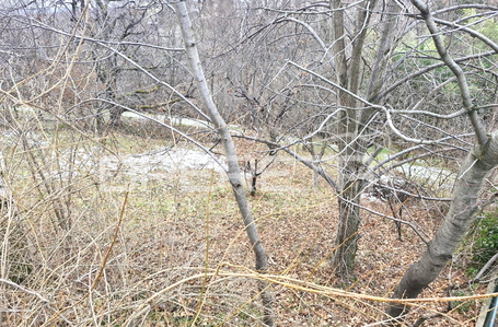 opereta_carousel_photo_2