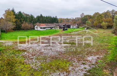 opereta_carousel_photo_7