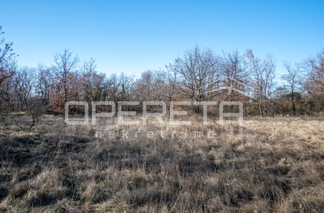 opereta_carousel_photo_2