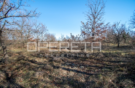 opereta_carousel_photo_3