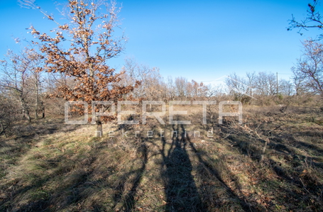 opereta_carousel_photo_4