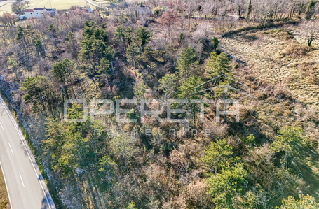 opereta_carousel_photo_2