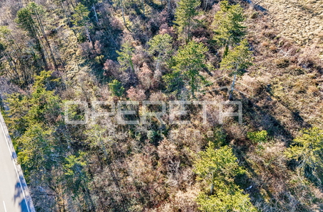 opereta_carousel_photo_5