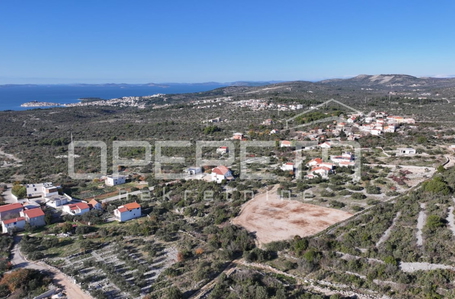 opereta_carousel_photo_2