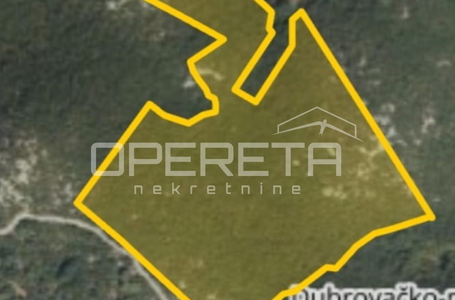 opereta_carousel_photo_2