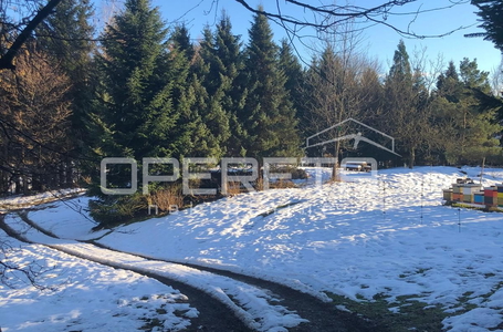 opereta_carousel_photo_6