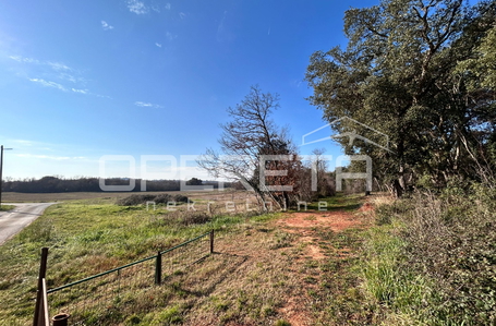 opereta_carousel_photo_3