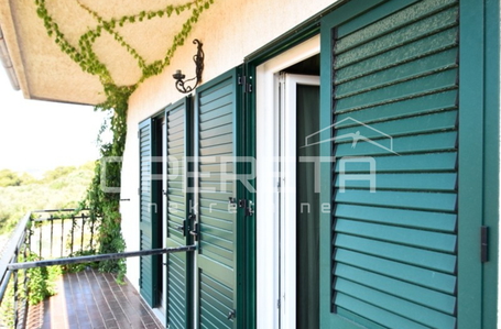 opereta_carousel_photo_6