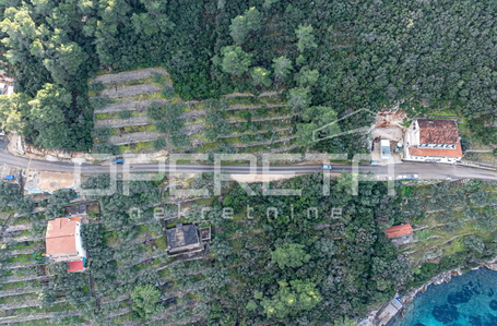 opereta_carousel_photo_8