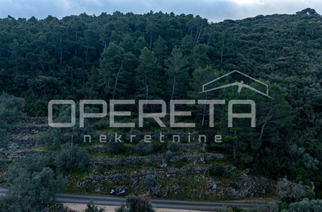 opereta_carousel_photo_9