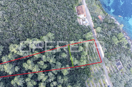 opereta_carousel_photo_2