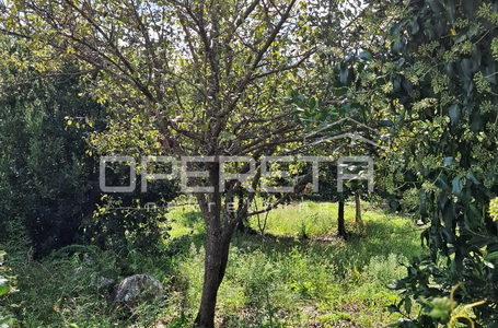 opereta_carousel_photo_8