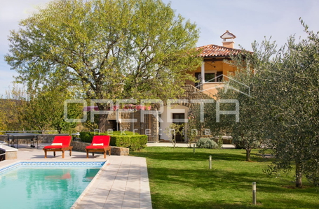 opereta_carousel_photo_4