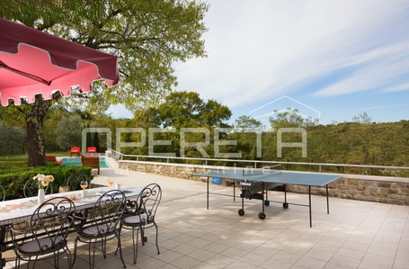 opereta_carousel_photo_7