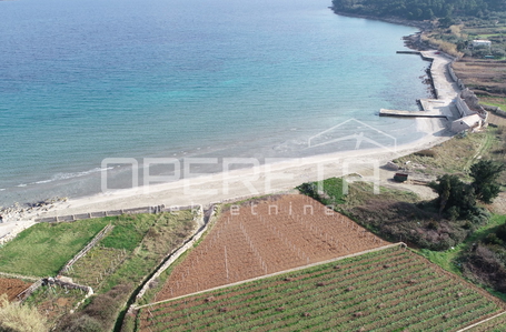 opereta_carousel_photo_9