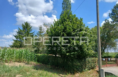 opereta_carousel_photo_2